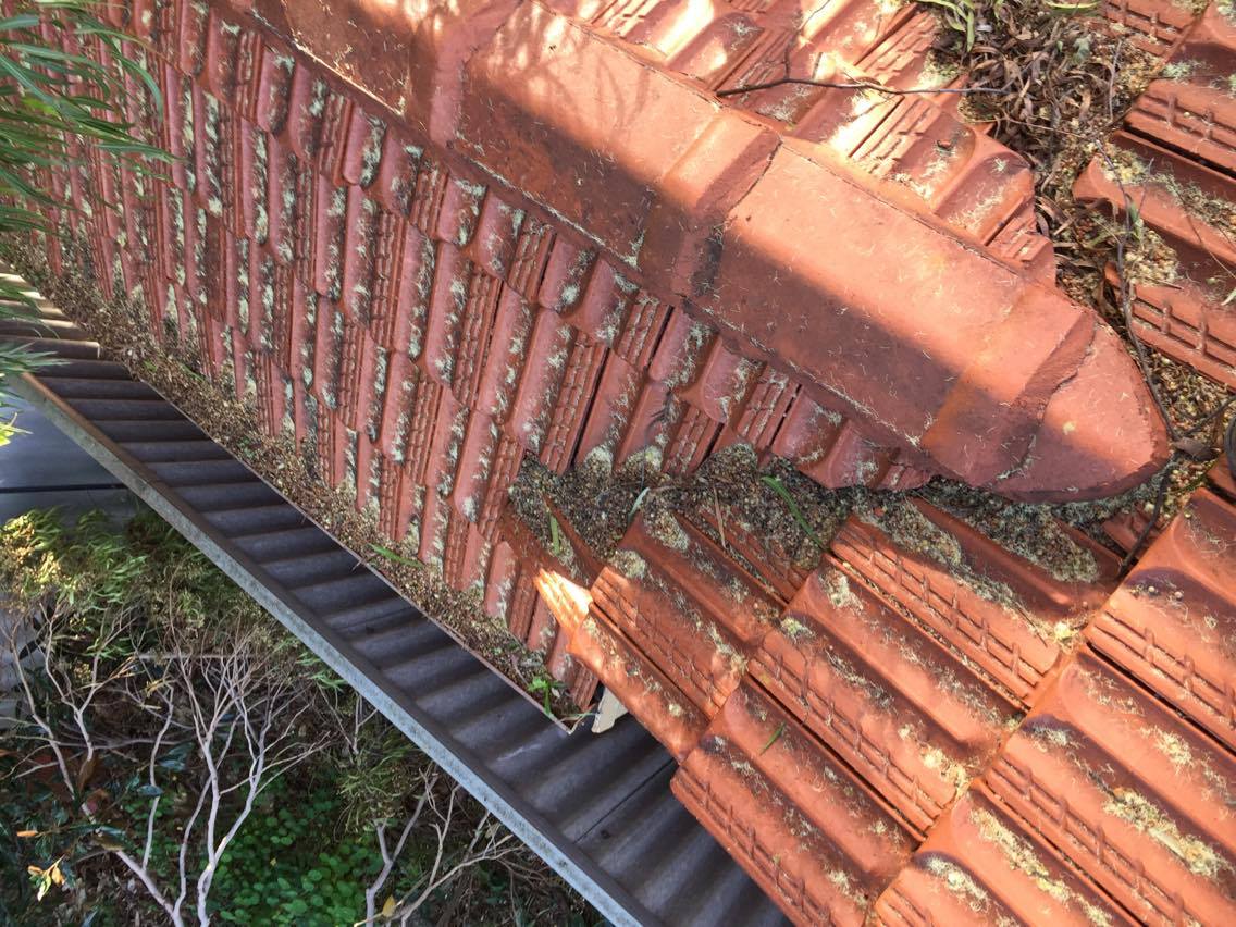 Roof valley full of leaf litter before vacuum cleaning