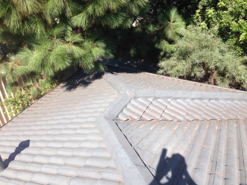 Roof after cleaning